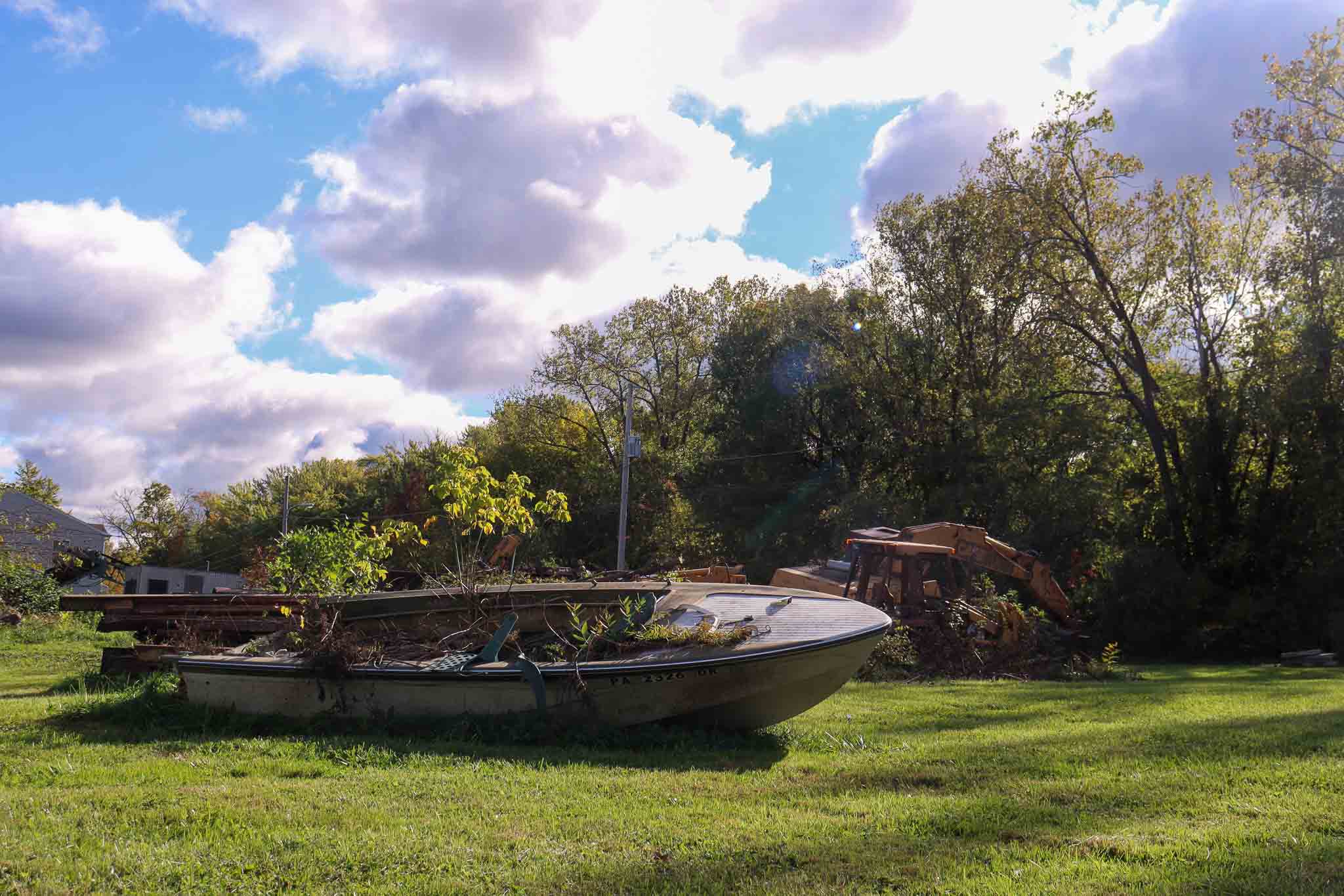 Floating Among The Weeds